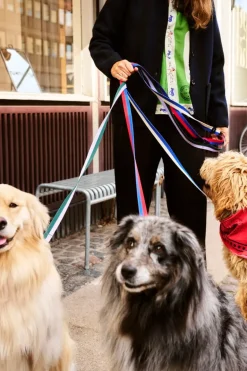 HAY HAY Dogs scarf, 55 x 55 cm, röd