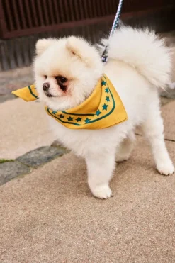 HAY HAY Dogs scarf, 55 x 55 cm, ockra