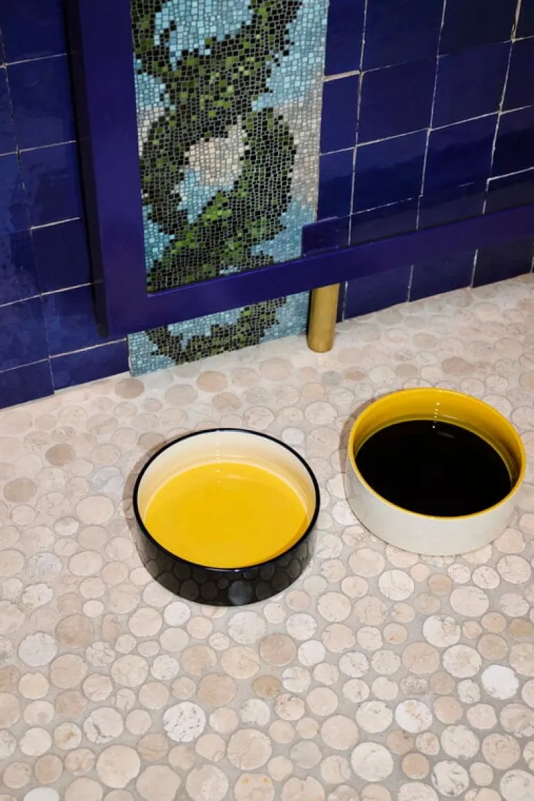 HAY HAY Dogs skål, L, gul - blå