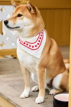 HAY HAY Dogs skål, S, röd - blå