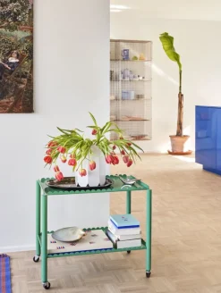 HAY HAY PLAY Backgammon