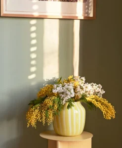 HAY Juice bred vas, gul