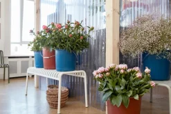 HAY Palissade stol, oliv