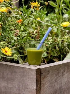 HAY Sip Smooth sugrör, 4-pack, glas