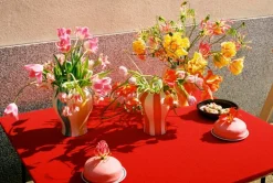 HAY Sobremesa Stripe vas, S, röd