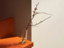 Iittala Aalto vas 180 mm, genomskinlig