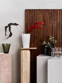 Iittala Aalto vas 220 mm, vit