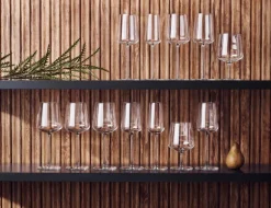Iittala Essence vitvinsglas, 4-pack