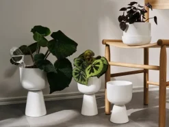 Iittala Iittala bevattningsbehållare 2-pack