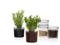 Iittala Kastehelmi burk 116 x 57 mm, ofärgad