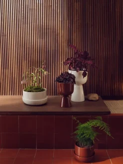 Iittala Nappula blomkruka med fat, 240 x 130 mm, vit