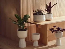 Iittala Nappula blomkruka 230 x 155 mm, vit