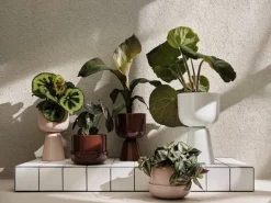 Iittala Nappula blomkruka med fat 170 x 130 mm, beige