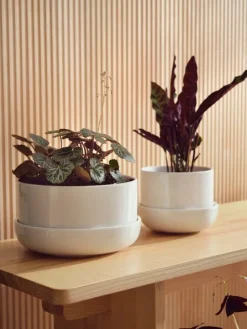 Iittala Nappula blomkruka med fat 170 x 130 mm, vit