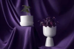 Iittala Nappula blomkruka med fat 170 x 130 mm, vit