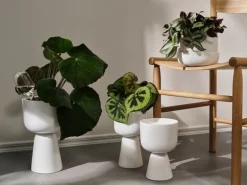 Iittala Nappula blomkruka med fat 170 x 130 mm, vit