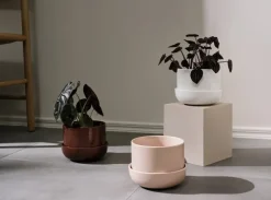 Iittala Nappula blomkruka med fat 170 x 130 mm, vit