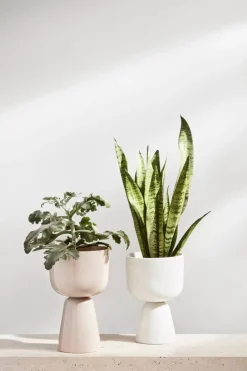 Iittala Nappula blomkruka 260 x 155 mm, beige