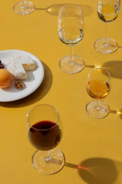 Iittala Raami aperitifglas, 2-pack