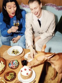 Iittala Raami aperitifglas, 2-pack