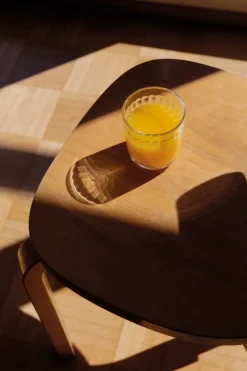 Iittala Raami glas 26 cl, 2-pack, ofärgad