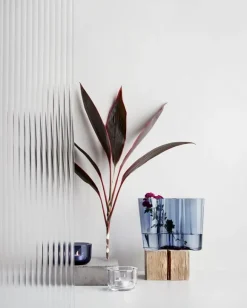 Iittala Valkea ljuslykta, klar