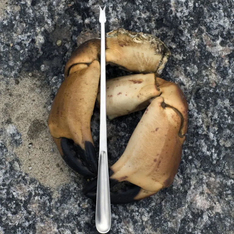 Kay Bojesen Grand Prix skaldjursset, 8 delar, polerat rostfritt stål