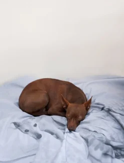 Kehrer Verlag Hertta Kiiski & Niina Vatanen: Archive Play