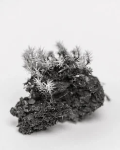 Kehrer Verlag Jaakko Kahilaniemi: 100 Hektar av Förståelse