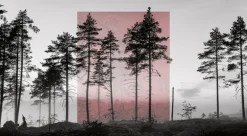 Kehrer Verlag Jaakko Kahilaniemi: 100 Hektar av Förståelse