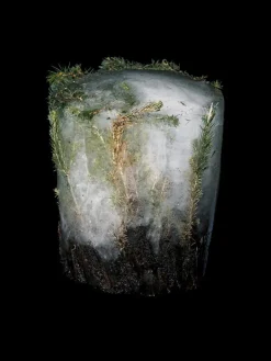 Kehrer Verlag Jaakko Kahilaniemi: 100 Hektar av Förståelse