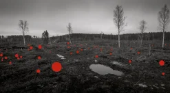 Kehrer Verlag Jaakko Kahilaniemi: 100 Hektar av Förståelse