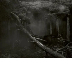 Kehrer Verlag Terje Abusdal: Svedjebruk