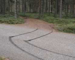 Kehrer Verlag Terje Abusdal: Svedjebruk