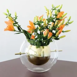 Klong Alba vas, rund