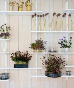 Klong Äng vas, liten, svart