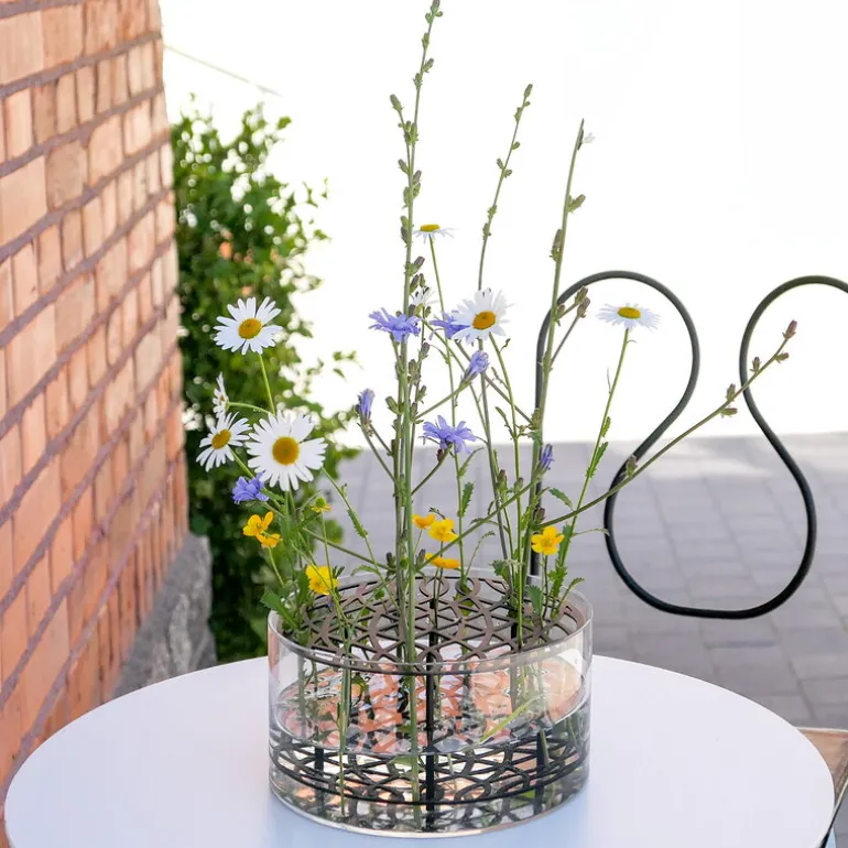 Klong Äng vas stor, svart