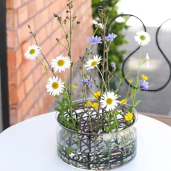 Klong Äng vas stor, svart