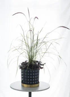 Klong Trio blomkruka, blue square