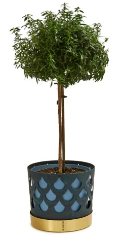 Klong Trio blomkruka, blue drop