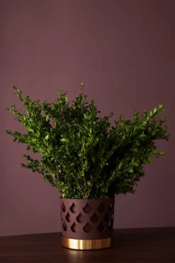 Klong Trio liten blomkruka, mörkröd