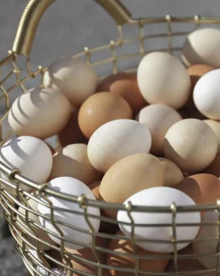 Korbo Bin 16 trådkorg, mässing