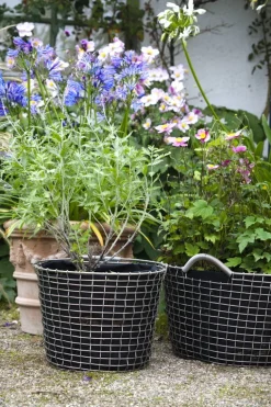 Korbo Bucket 24 trådkorg, syrafast rostfritt stål