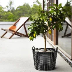 Korbo Classic 24 trådkorg, syrafast rostfritt stål