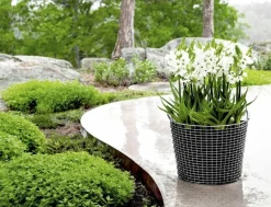 Korbo Classic 50 trådkorg, syrafast rostfritt stål