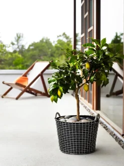 Korbo Planteringspåse 24, 3 st.