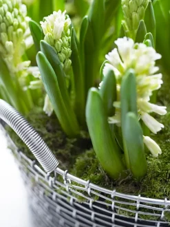 Korbo Wire basket Classic 35 trådkorg, galvaniserad