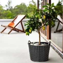 Korbo Wire basket Classic 24 trådkorg, galvaniserad