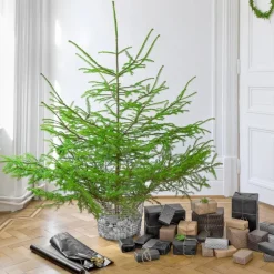 Korbo Wire basket Classic 24 trådkorg, galvaniserad