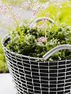 Korbo Wire basket Classic 24 trådkorg, galvaniserad